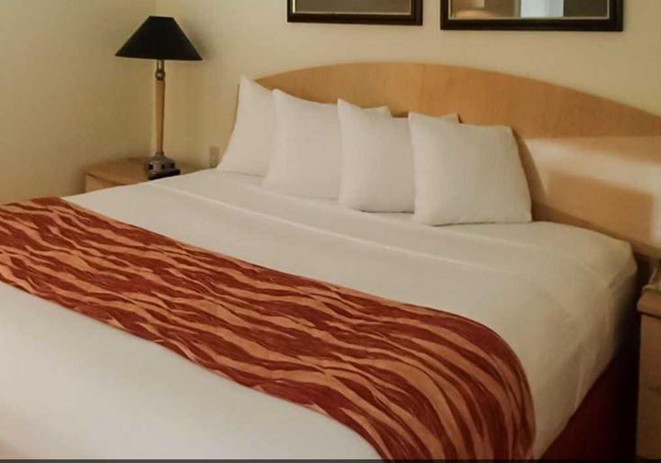 Rodeway Inn South Miami - Coral Gables Εξωτερικό φωτογραφία